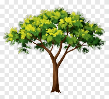 Colorful Tree PNG