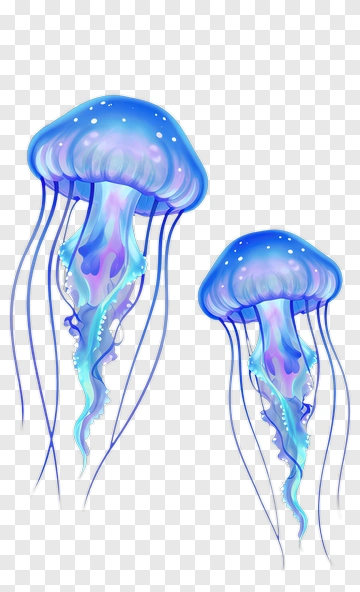 Colorful Jellyfish Illustration PNG