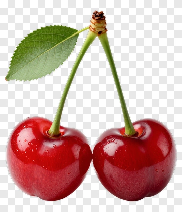 Red Cherries With Leaf PNG