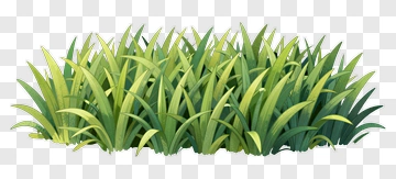 Colorful Grass PNG