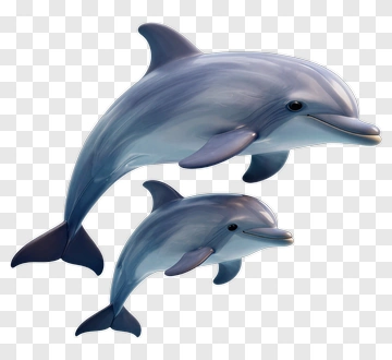3D Dolphins Swimming Together PNG