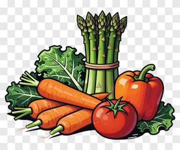 Colorful Vegetable Arrangement PNG