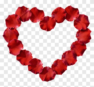 Heart Shape Made Of Red Rose Petals PNG