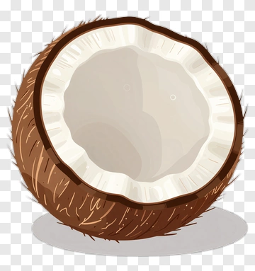 Half Coconut Shell PNG