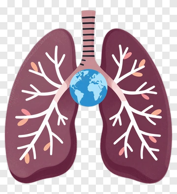 Lungs With Earth Illustration PNG