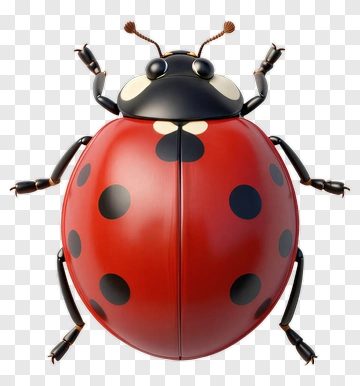 3D Ladybug With Black Spots PNG