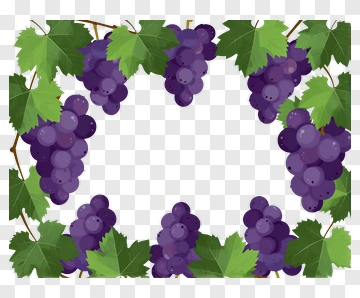 Grapes Framed By Green Leaves PNG