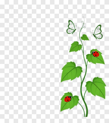 Butterflies And Ladybugs On Green Vines PNG