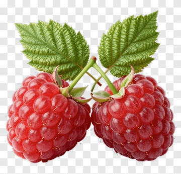 Raspberry With Leaves PNG