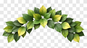 Green Leaf Arrangement PNG