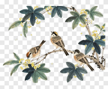 Sparrows On A Branch With Leaves And Flowers PNG