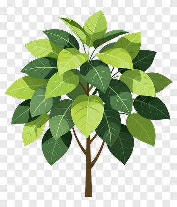 Colorful Tree PNG