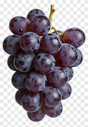 Fresh Purple Grapes PNG