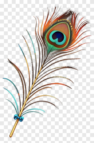 Colorful Peacock Feather PNG