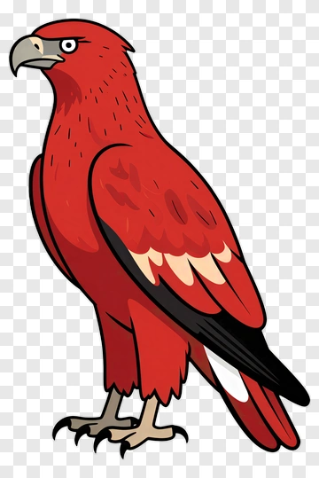 Cartoon Red Hawk PNG