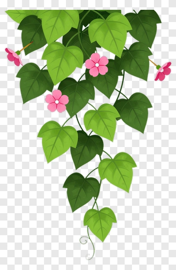 Colorful Hanging Vine With Pink Flowers PNG