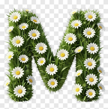Floral Letter M With Daisies PNG