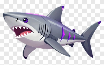 Cartoon Shark PNG