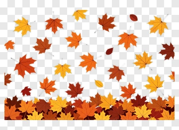 Colorful Autumn Leaves Falling PNG