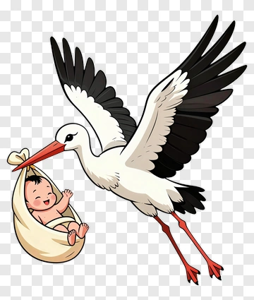 Cartoon Stork Delivering A Baby PNG
