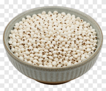 Bowl Of White Seeds PNG