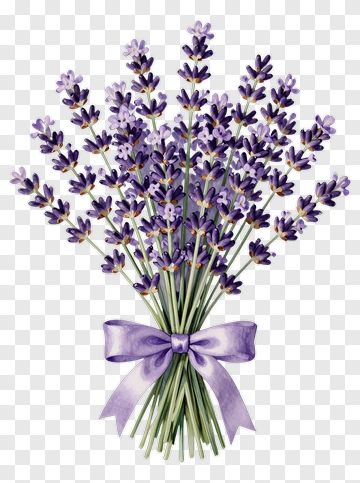 Lavender Bouquet With Purple Ribbon PNG
