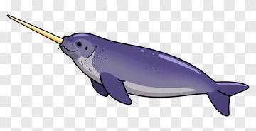 Cartoon Narwhal Swimming PNG
