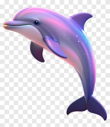 Colorful Dolphin PNG