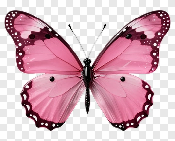 Pink Butterfly PNG