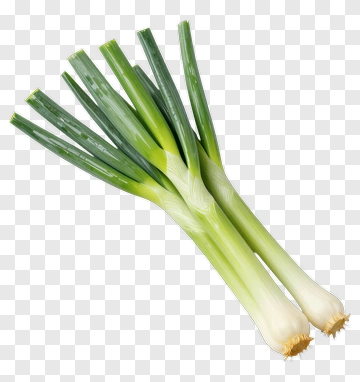 Fresh Green Onions PNG