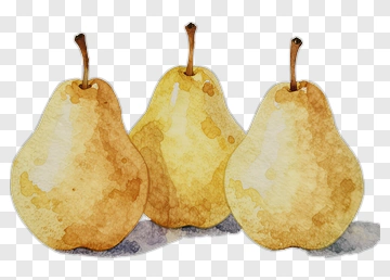 Watercolor Pears PNG