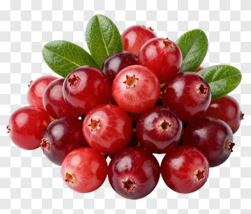 Fresh Cranberries With Green Leaves PNG