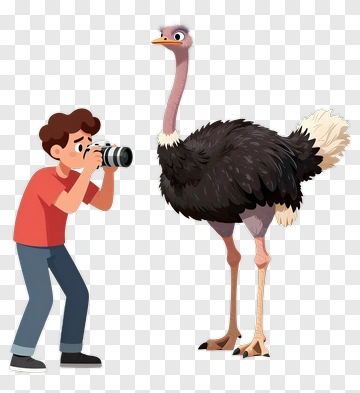 Cartoon Photographer Taking A Picture Of An Ostrich PNG