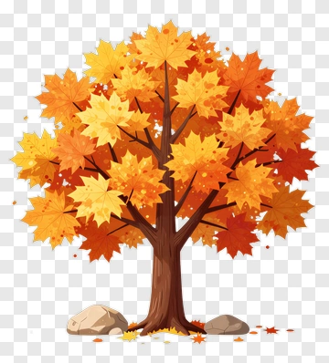 Colorful Maple Tree In Autumn PNG