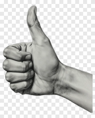 Hand Giving A Thumbs Up PNG