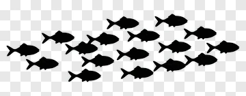 Silhouette School Of Fish PNG