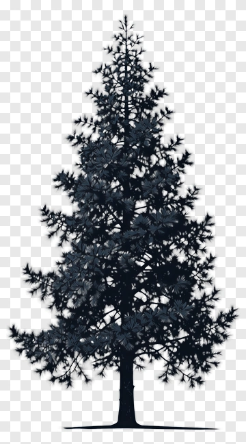 Dark Pine Tree PNG