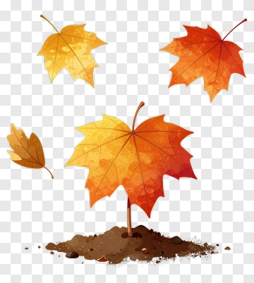 Colorful Maple Leaves Growing From Soil PNG