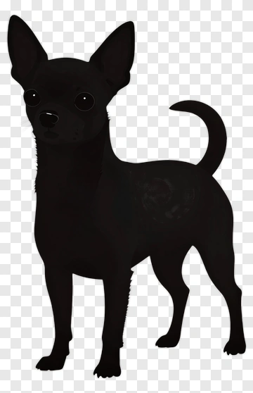 Black Chihuahua Dog PNG
