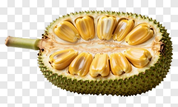 Durian Fruit Halved PNG