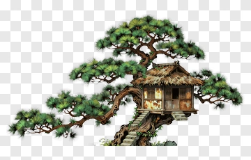 Tree House On A Pine Tree PNG