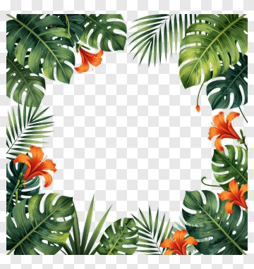 Tropical Leaf Frame With Flowers PNG