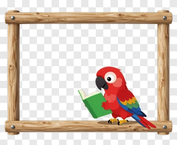 Cartoon Parrot Reading A Book PNG