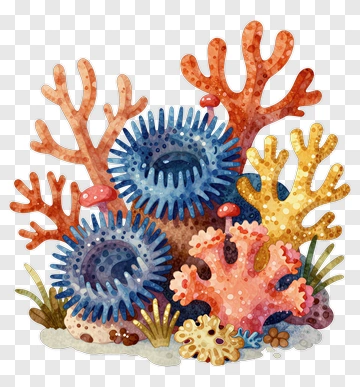 Colorful Coral Reef Composition PNG