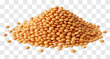 Pile Of Yellow Soybeans PNG