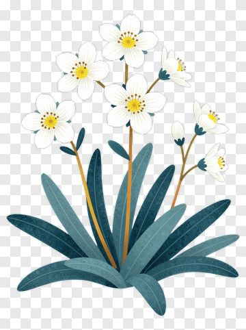 Colorful Flower Bouquet PNG