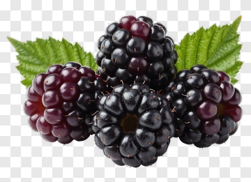 Fresh Blackberries With Green Leaves PNG