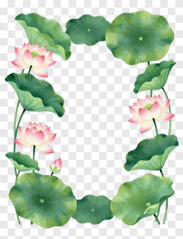 Lotus Flower And Leaf Frame PNG
