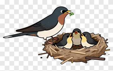 Bird Feeding Chicks In A Nest PNG