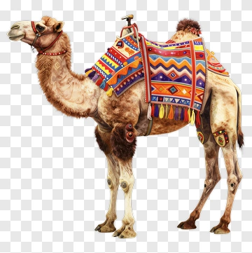 Camel With Colorful Saddle PNG